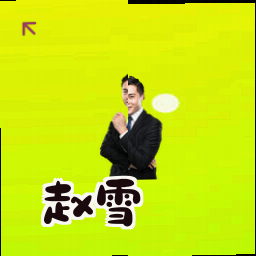 赵雪